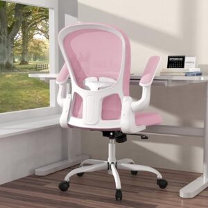 Ergonomic Office Chair